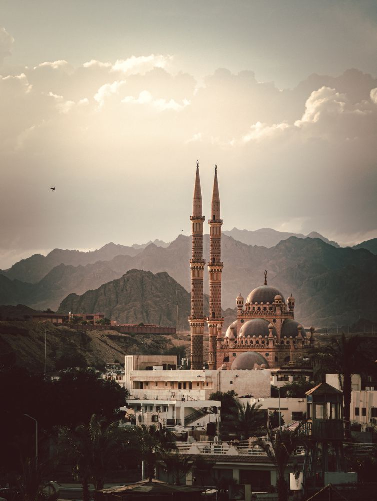 Photograph by Fritce