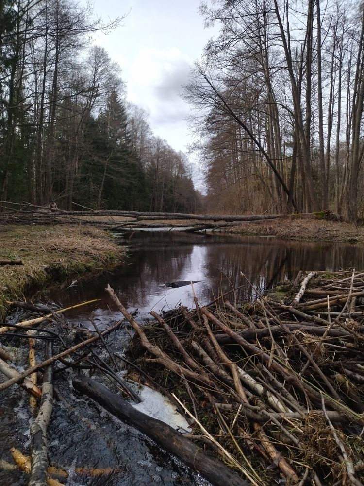Photo #9032127