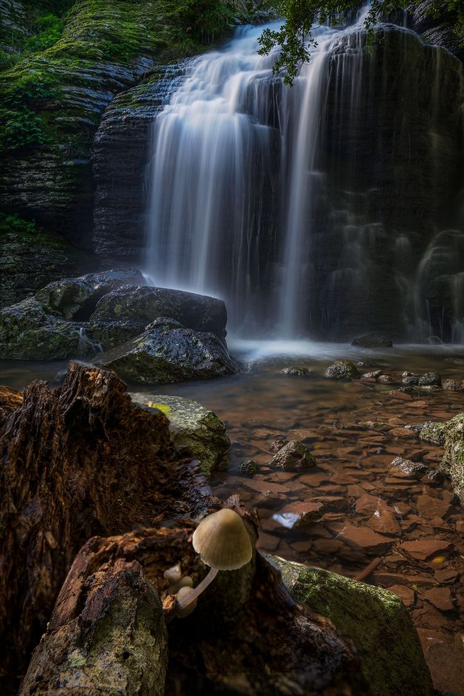 Photograph by Fabrizio Perra