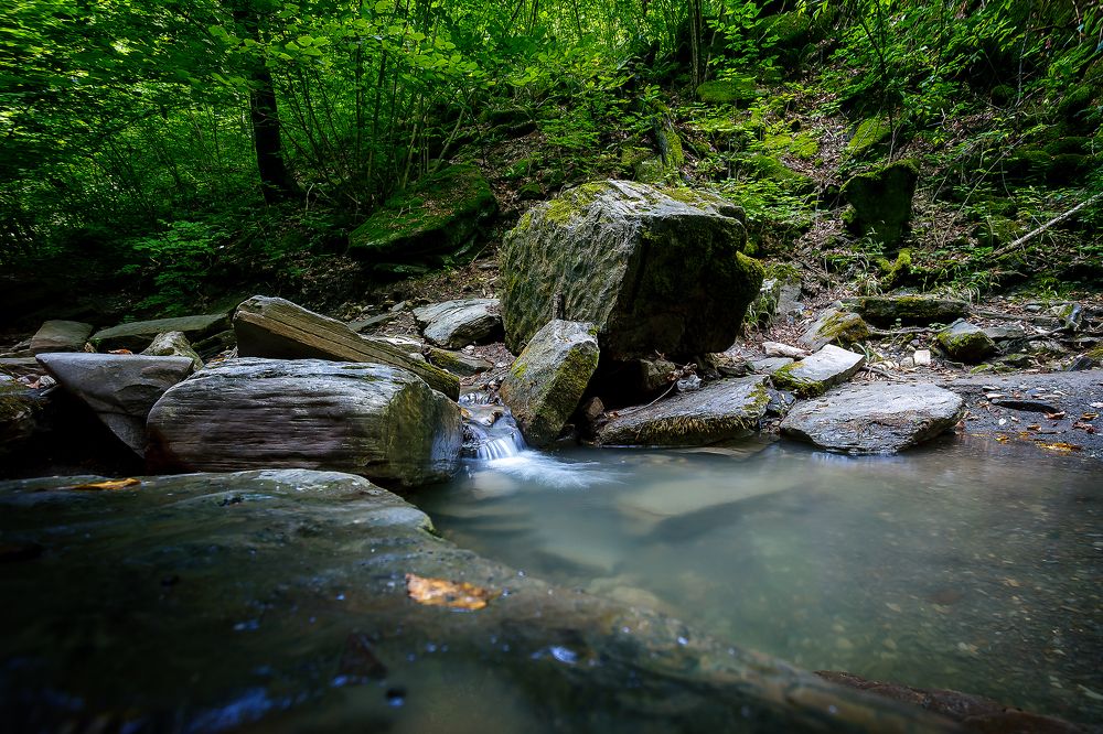 Photograph by Алексей Трифонов