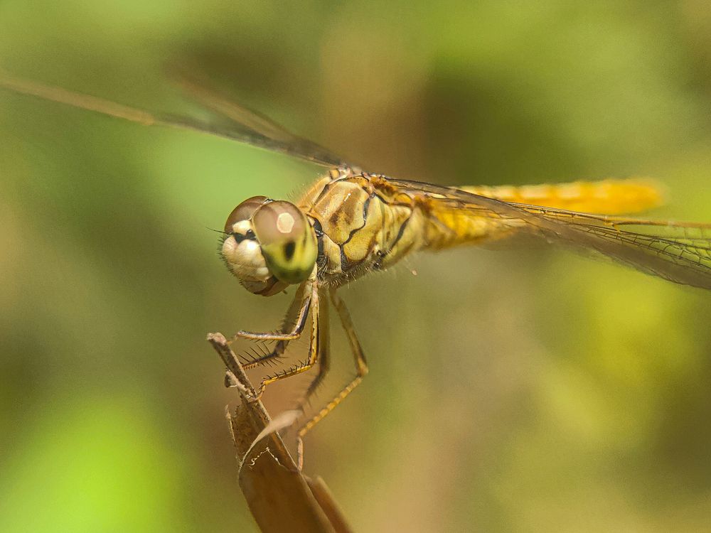Photograph by Kolkata Hodophile
