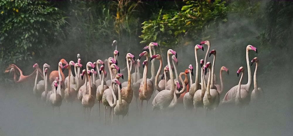 Photograph by Kan Chung Wong