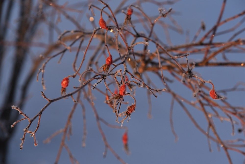 Photograph by Ольга Струкалина