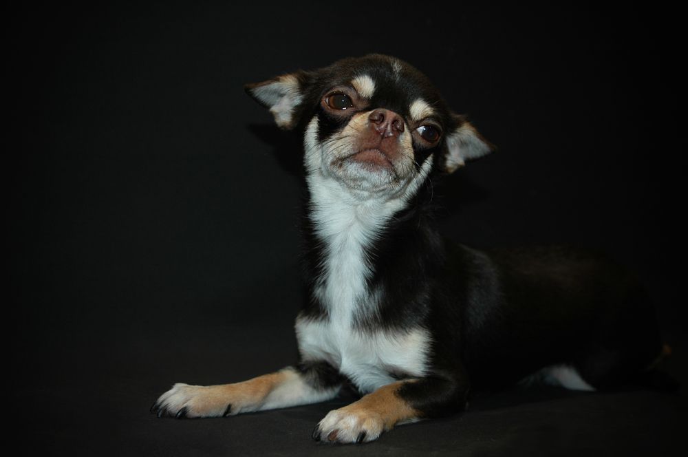 Photograph by Диана Ульянцева