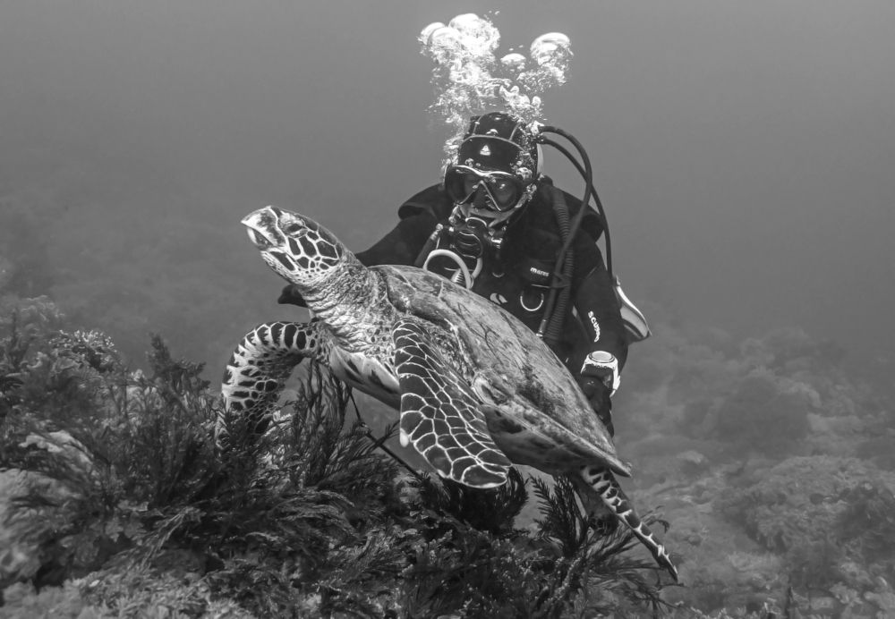 Photograph by Валерий Одинцов