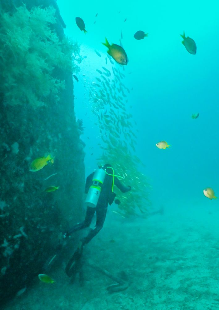 Photograph by Валерий Одинцов