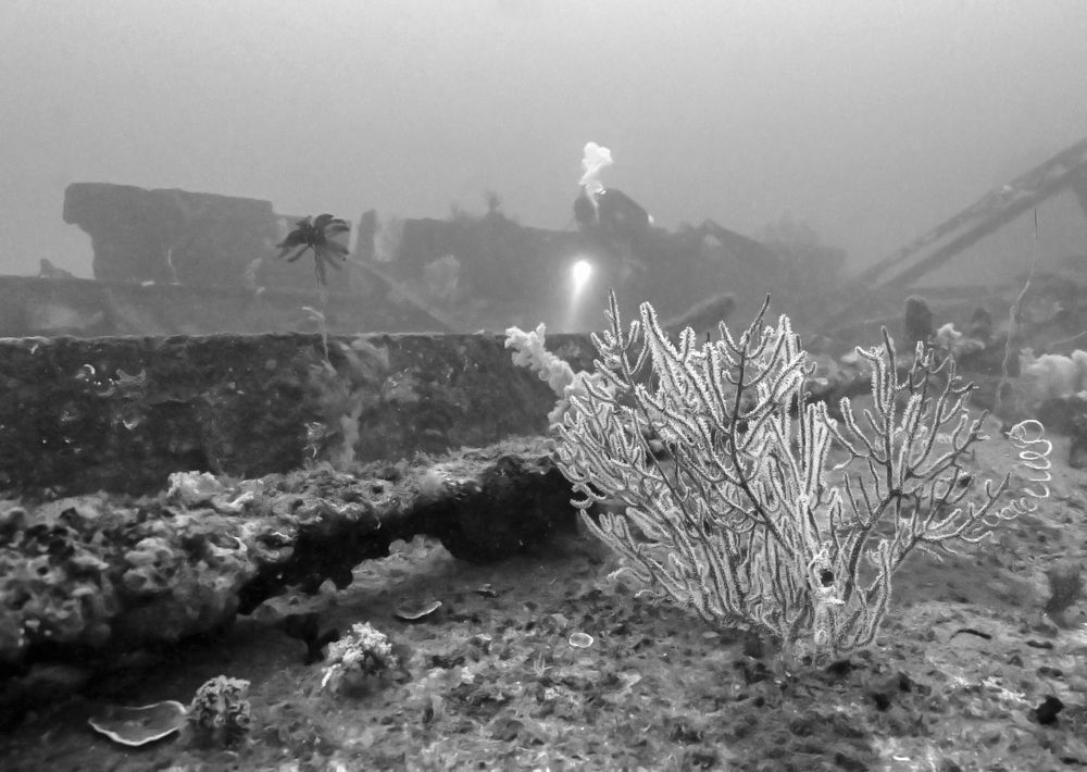 Photograph by Валерий Одинцов