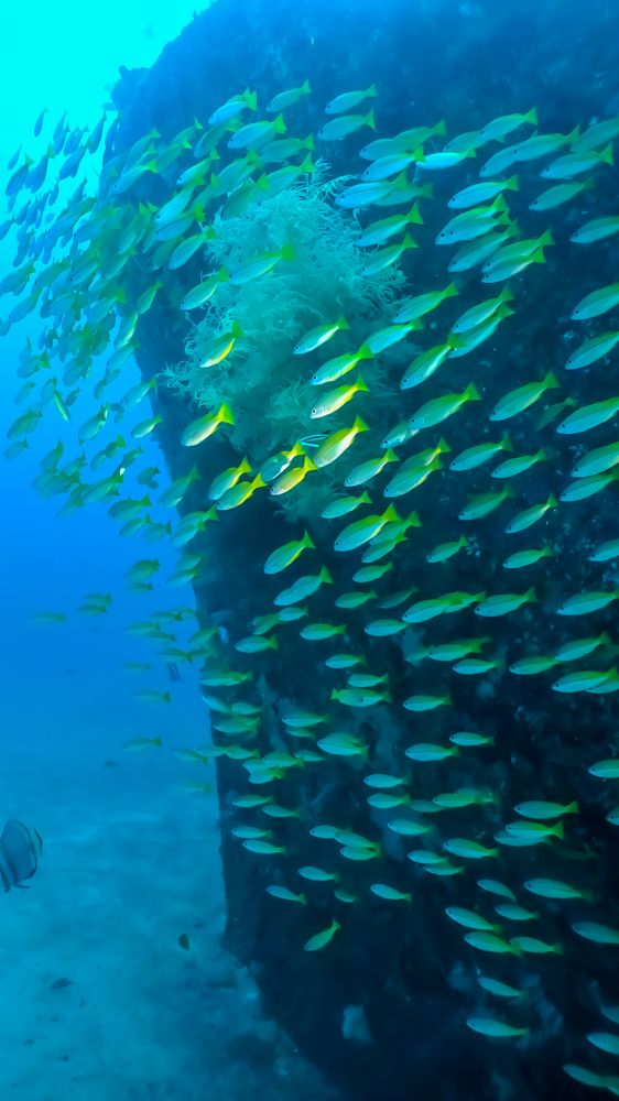 Photograph by Валерий Одинцов