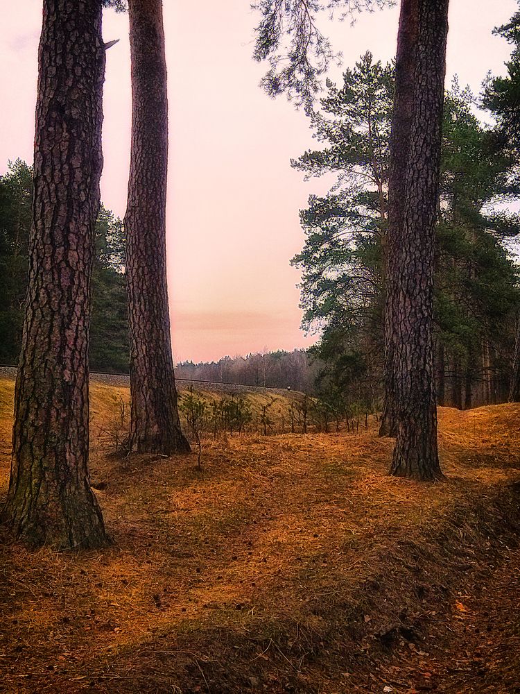 Photograph by Cергей Землянский