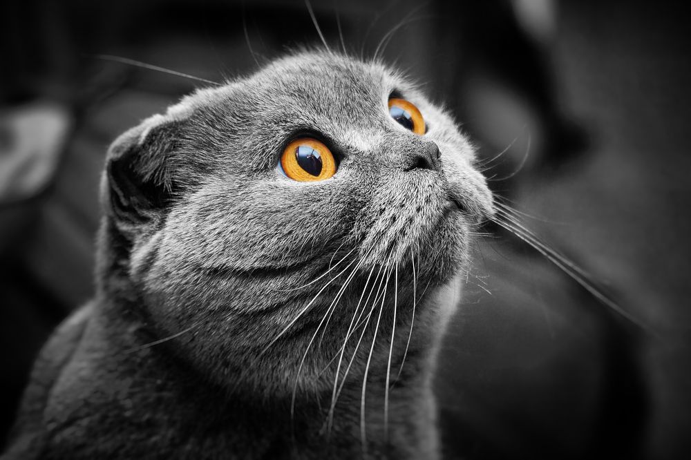 Photograph by Александр Мячин