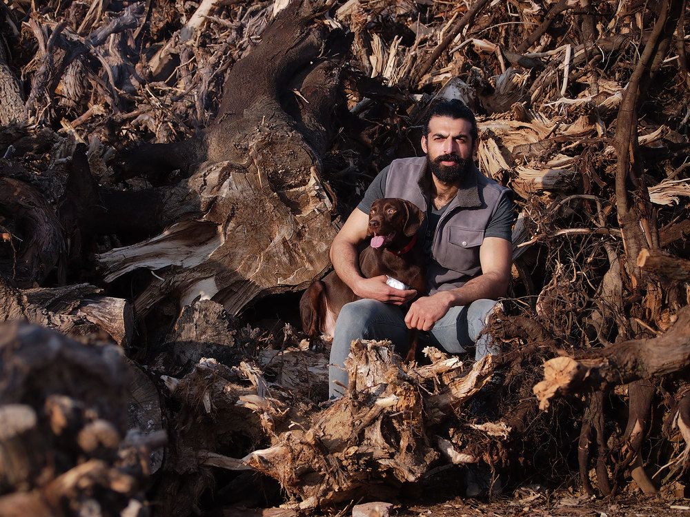 Photograph by Farid Ataei