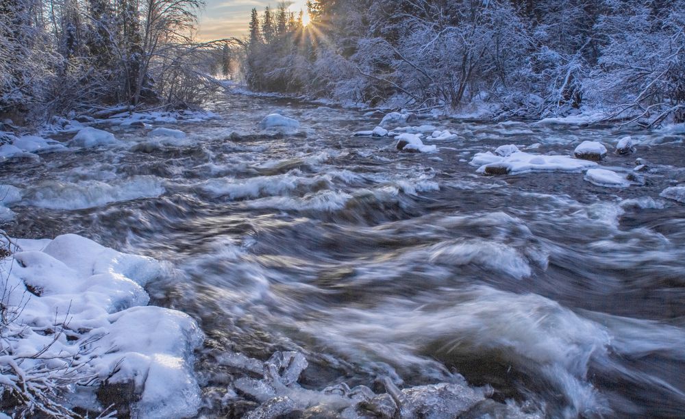 Photograph by Ирина Крепак