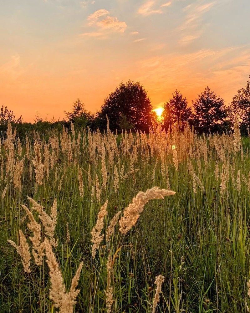 Photograph by Elena Lukashina