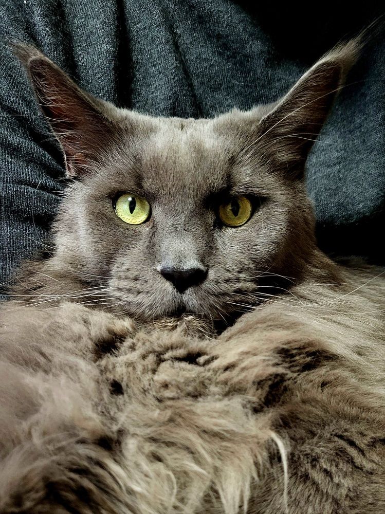 Photograph by Dmitrij Zykunov