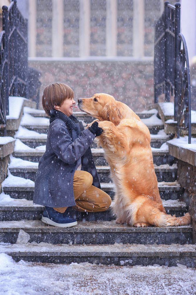 Photograph by Виктория Дубровская