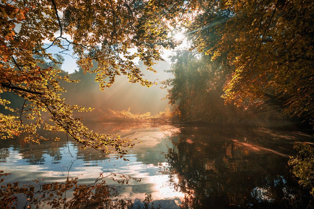 Photograph by Pati Tomaszewska