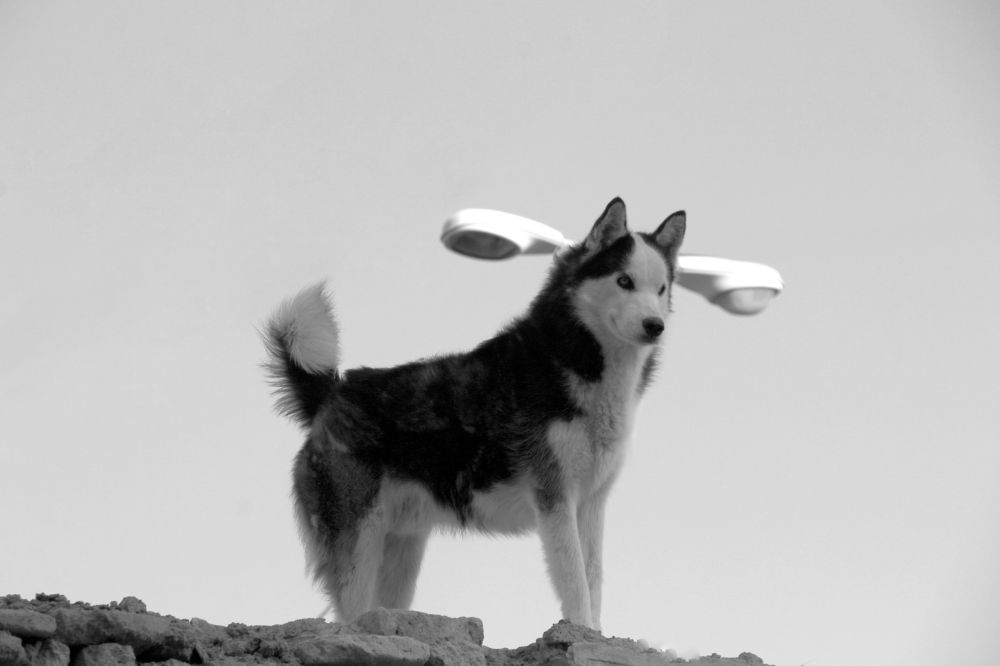 Фотография автора Ghadir Vaghari