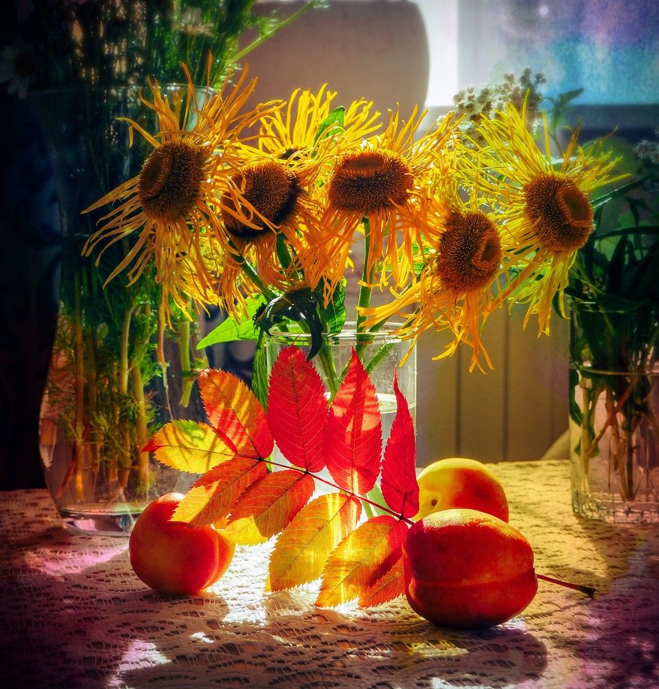 Photograph by Olena Vorotyntseva