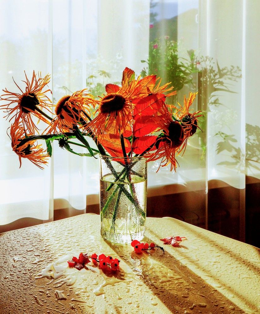 Photograph by Olena Vorotyntseva