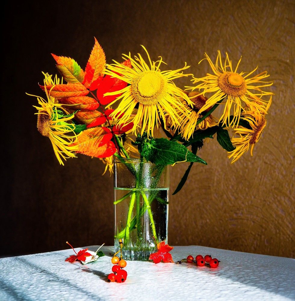 Photograph by Olena Vorotyntseva