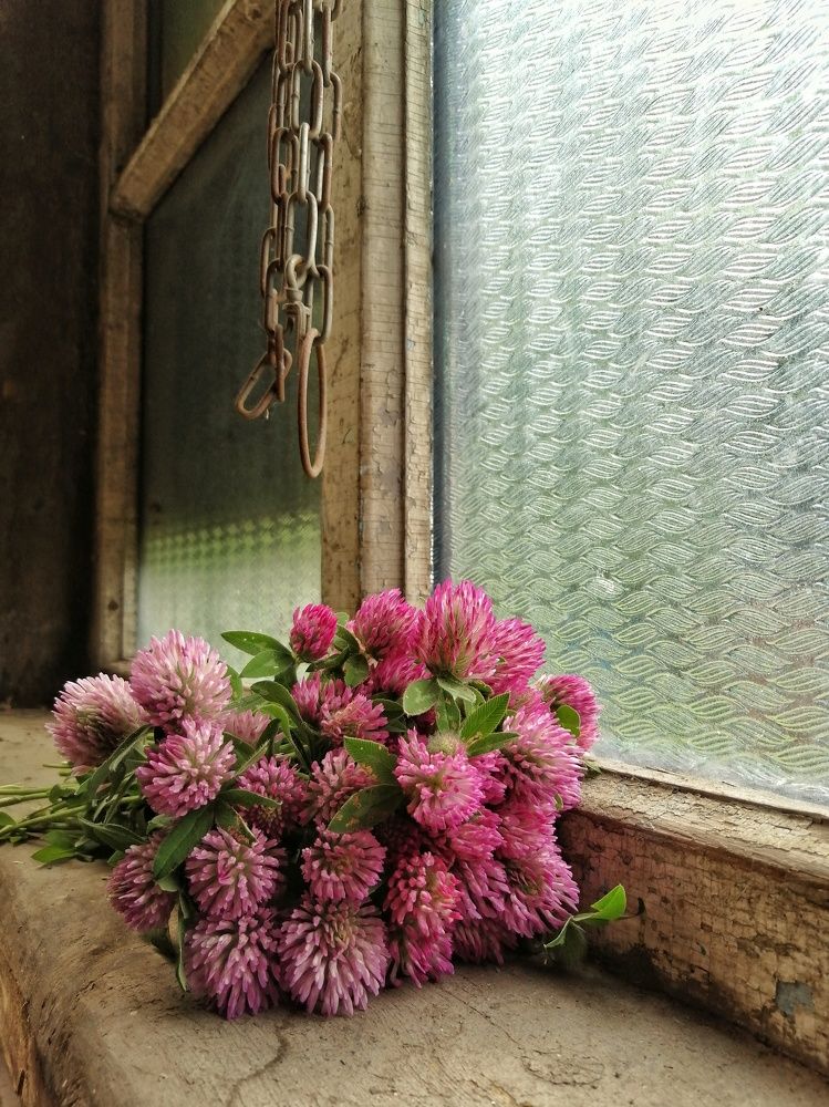 Фотография автора НАТАЛЬЯ СЕВЕР