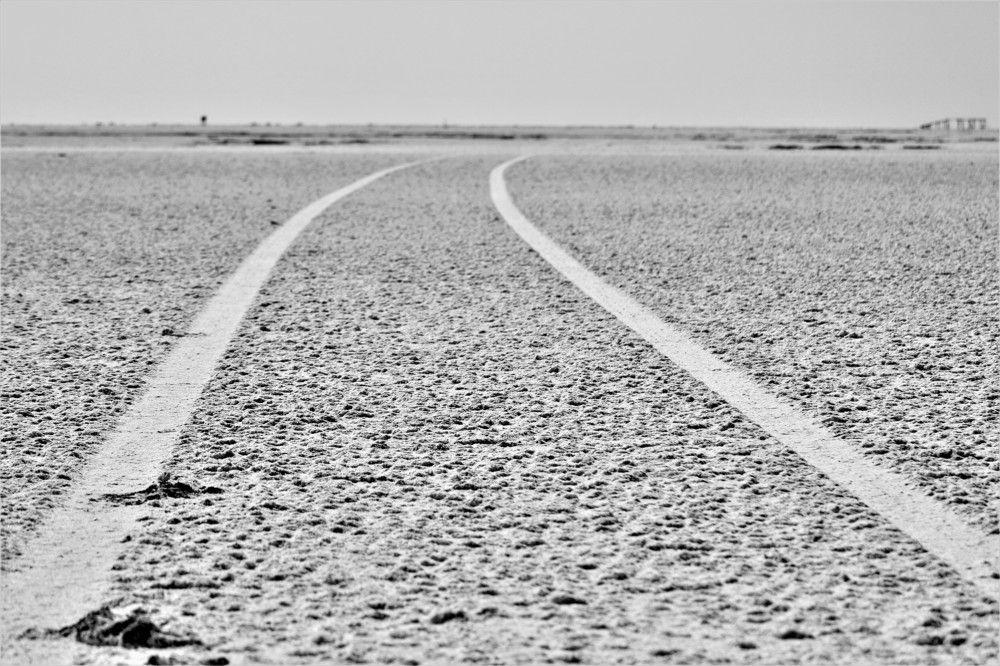 Photograph by Patricia Delionardis