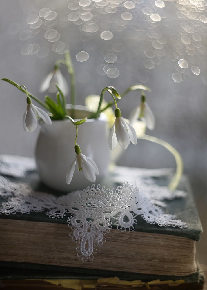 первая нежность весны