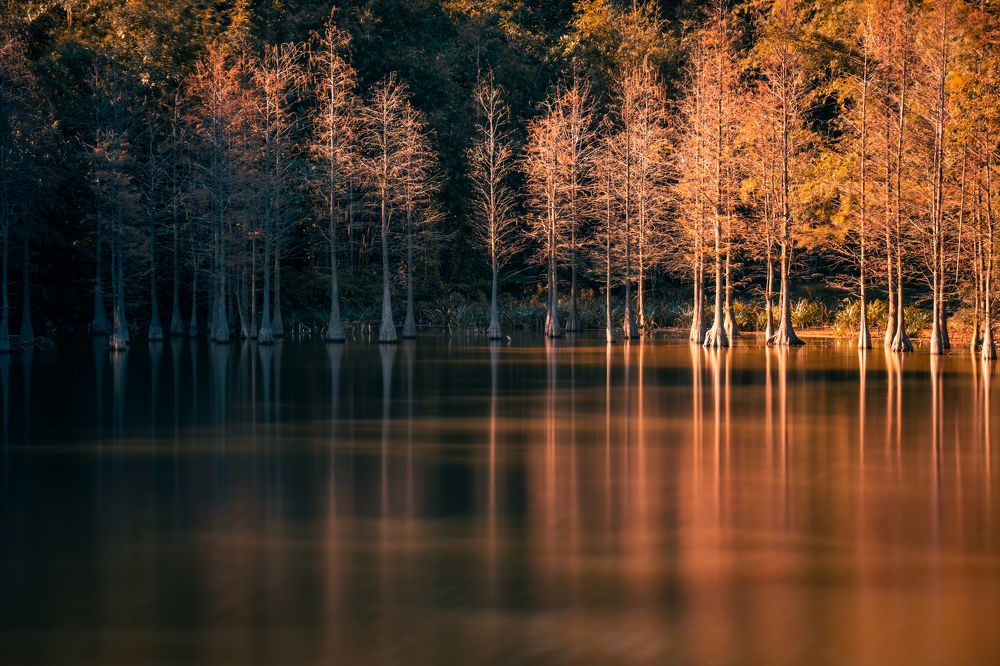 Photograph by Outlookzzz