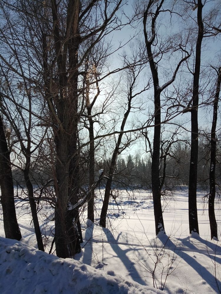 Photograph by Наталья БАЛАБАЕВА