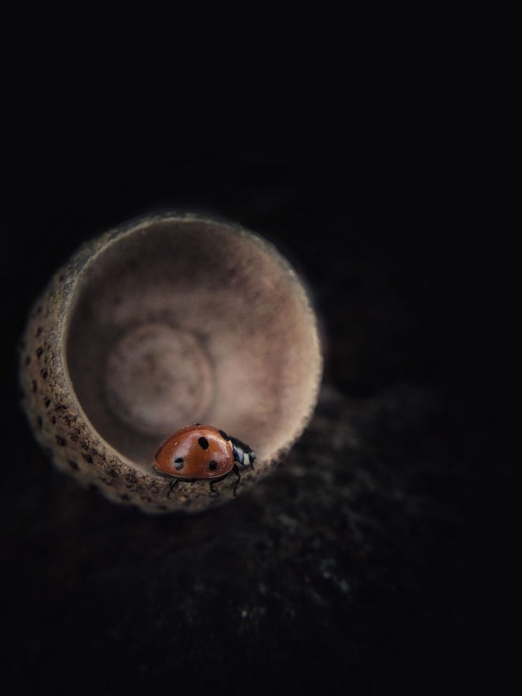 Подсознание