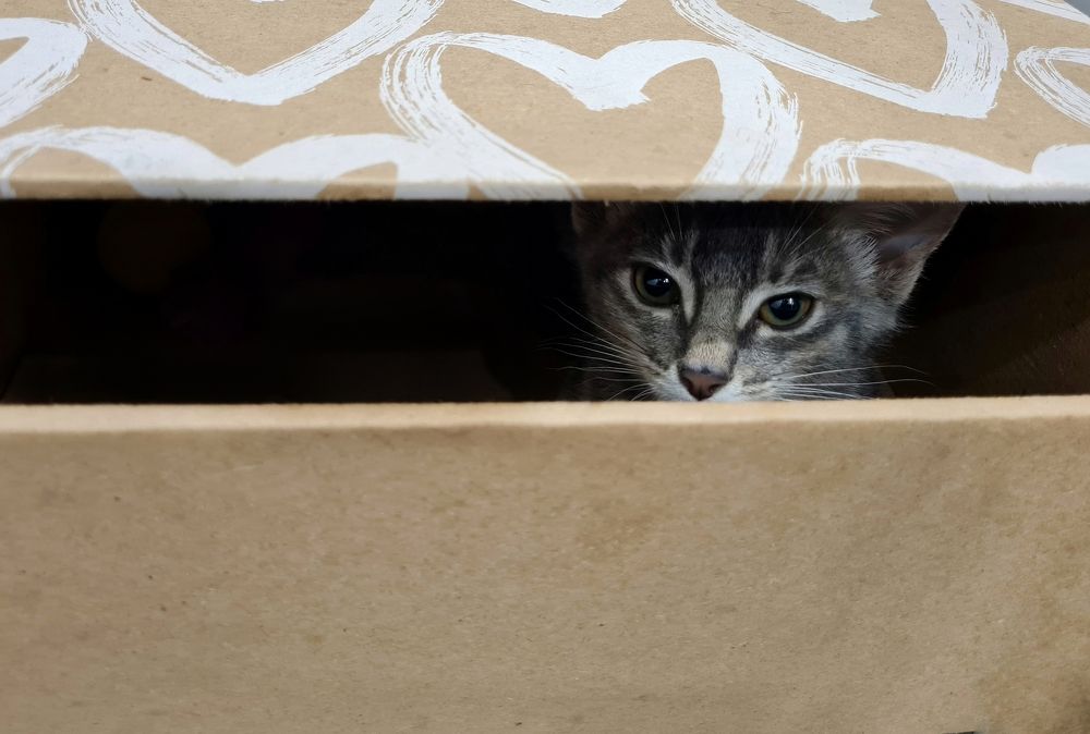 Photograph by Мария Шамина