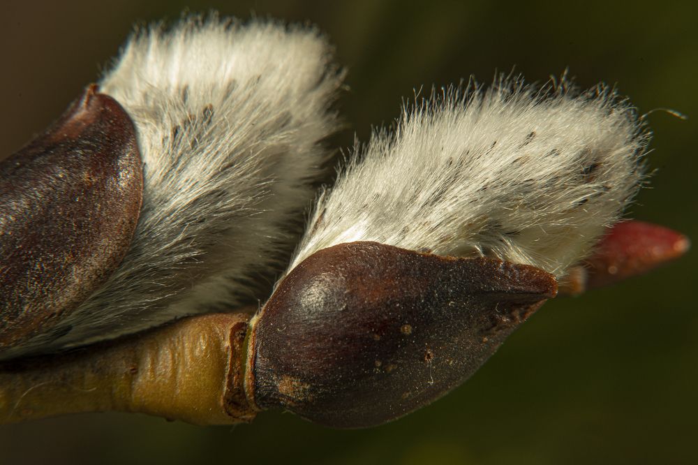 Photograph by Екатерина