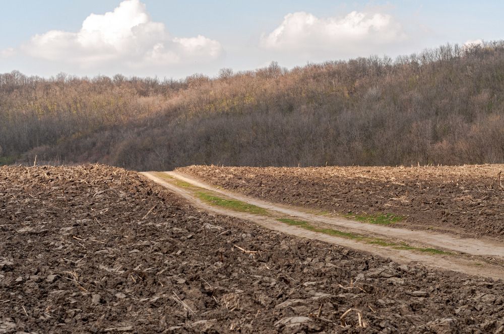 Photograph by Dumitru Bors