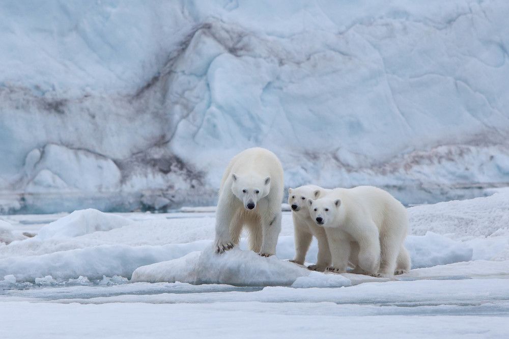 Photograph by Марина Маликова
