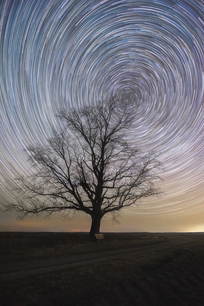 В звёздную ночь