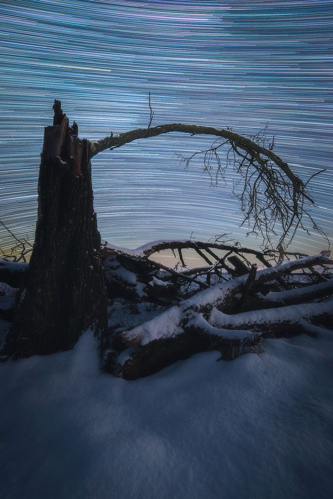 Звёздная коряга