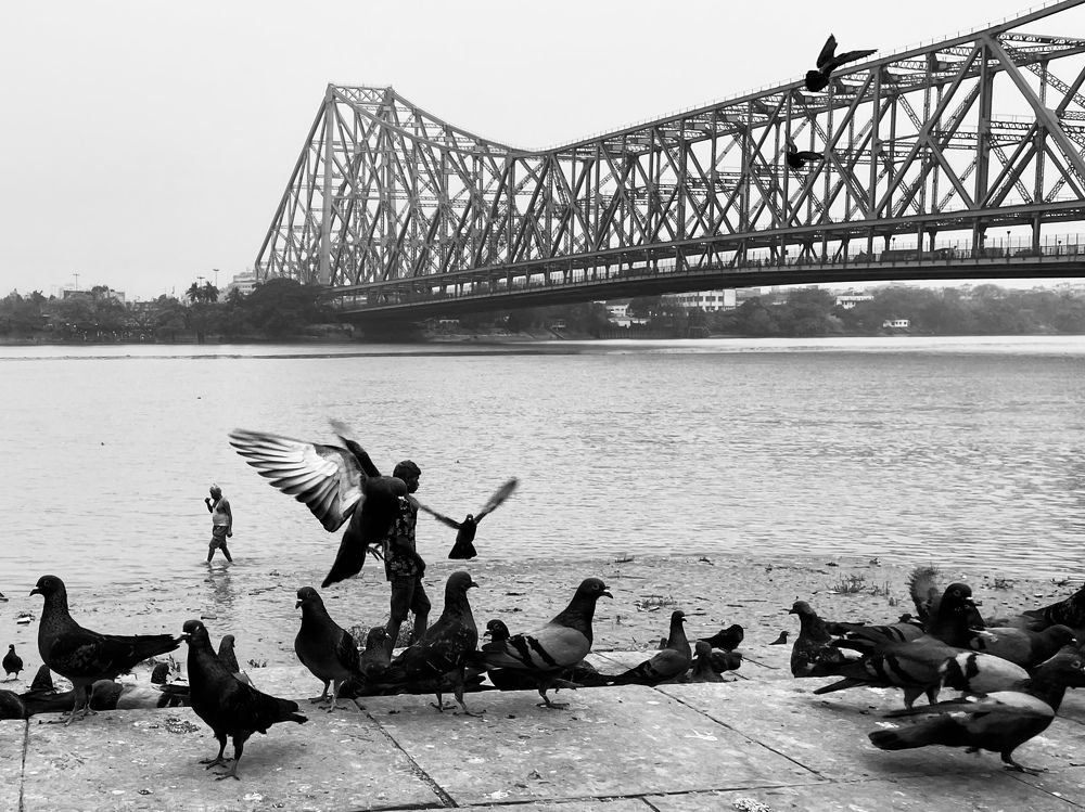 Фотография автора BIPLAB MISRA