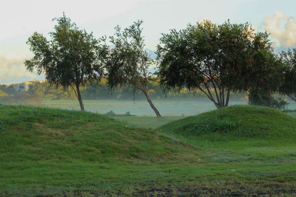 Фотография автора Jose Otero