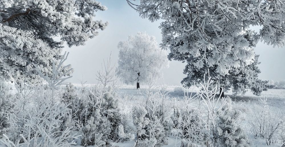 Photograph by Maxim Agafonov