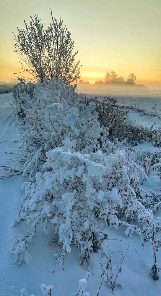 Photograph by Maxim Agafonov