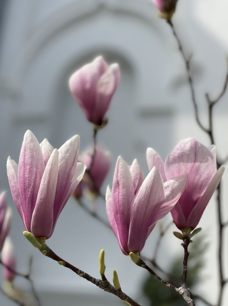 Photograph by Татьяна