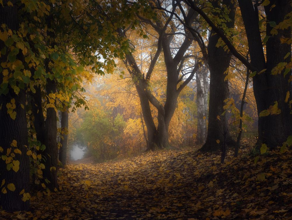 Photograph by Мозжухин Максим