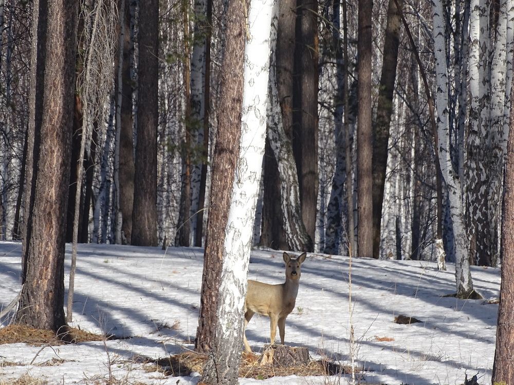Photograph by Ирина Ахметова