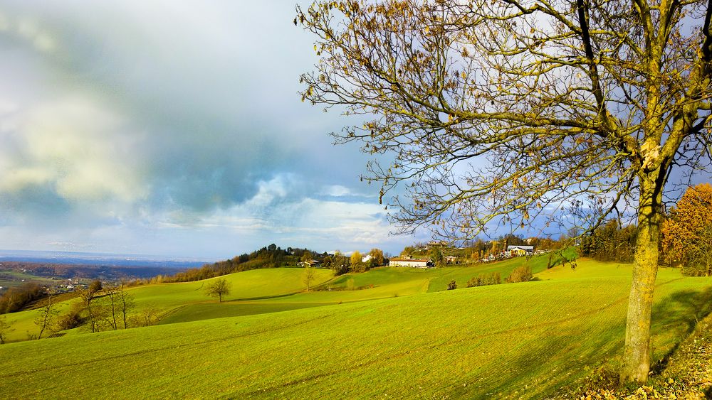 Collline del Piacentino - Valle del fiume Trebbia
