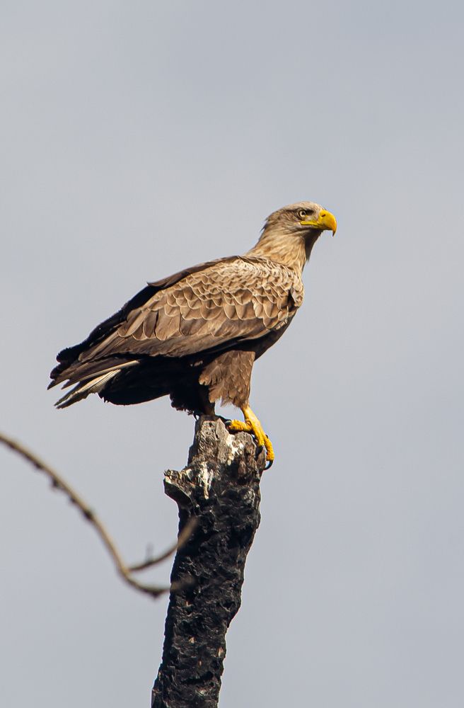 Photograph by Юрий Кизин