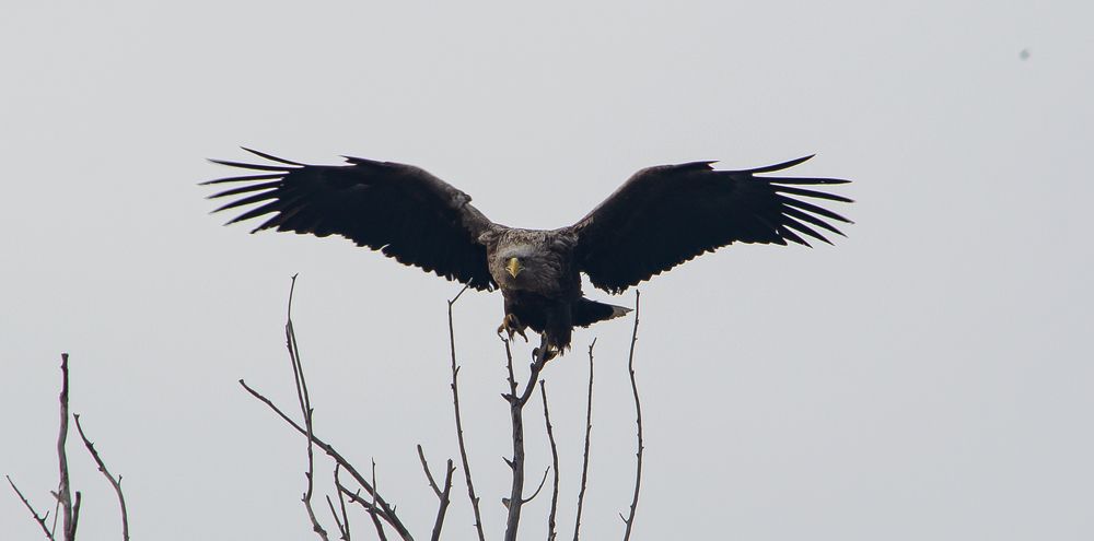 Photograph by Юрий Кизин