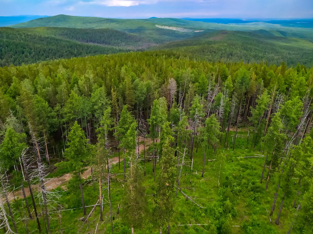 Photograph by Станислав Бережных