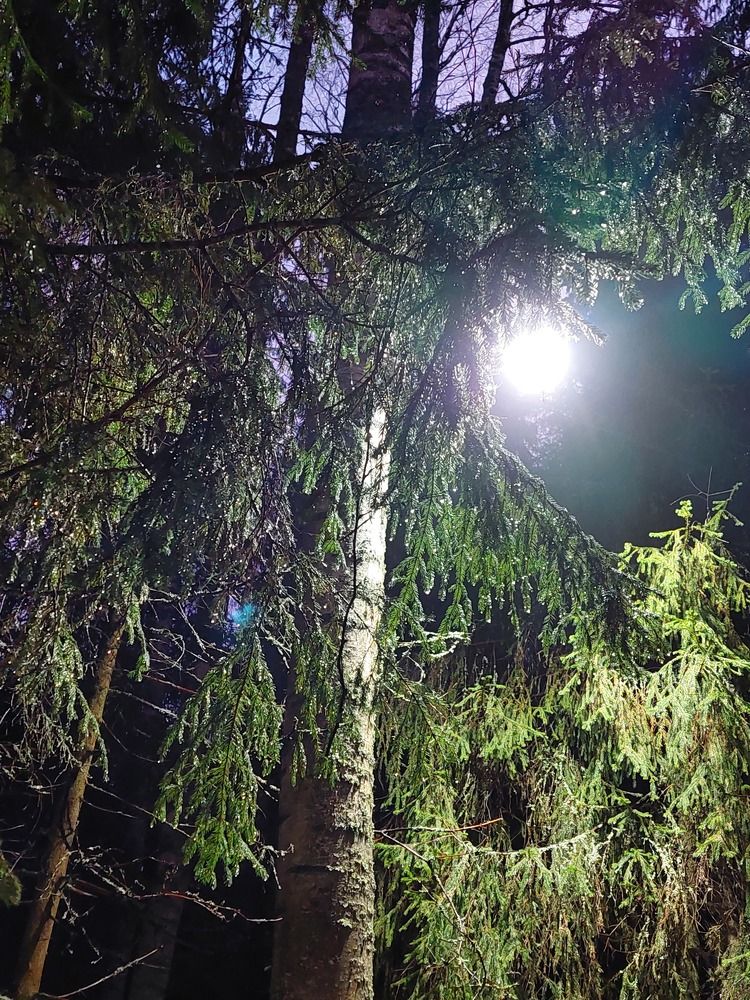 Photograph by Рыпало Людмила