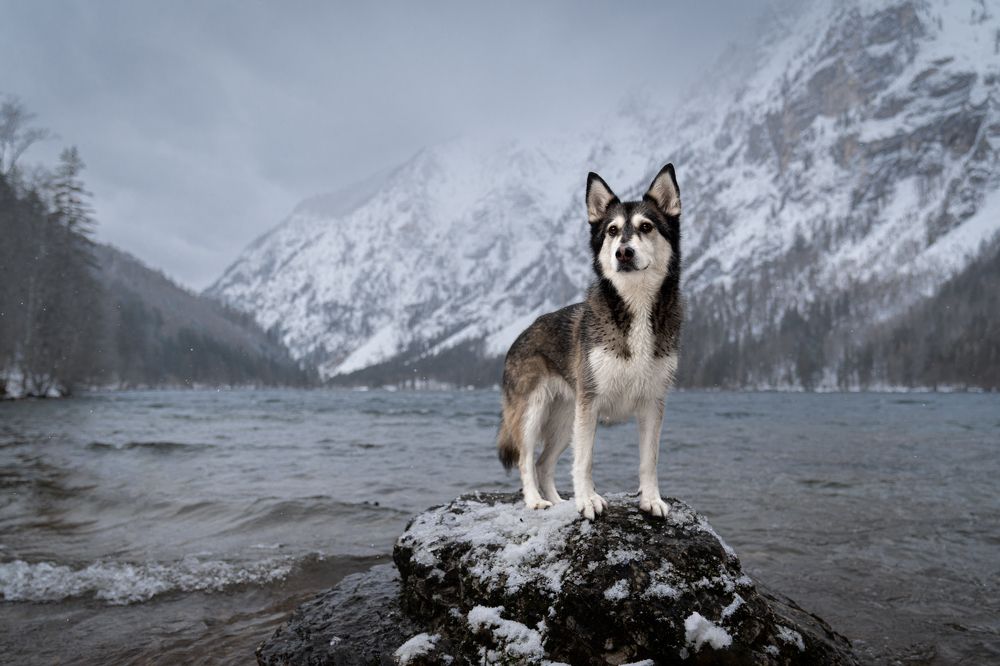 Photograph by Krisztián Csalami