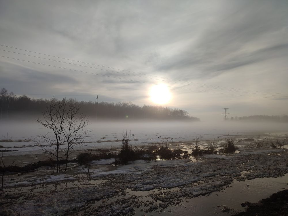 Photograph by Светлана Батурова